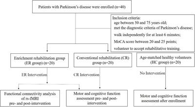 Enriched Rehabilitation Improves Gait Disorder and Cognitive Function in Parkinson’s Disease: A Randomized Clinical Trial